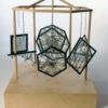 Polygons & Lines